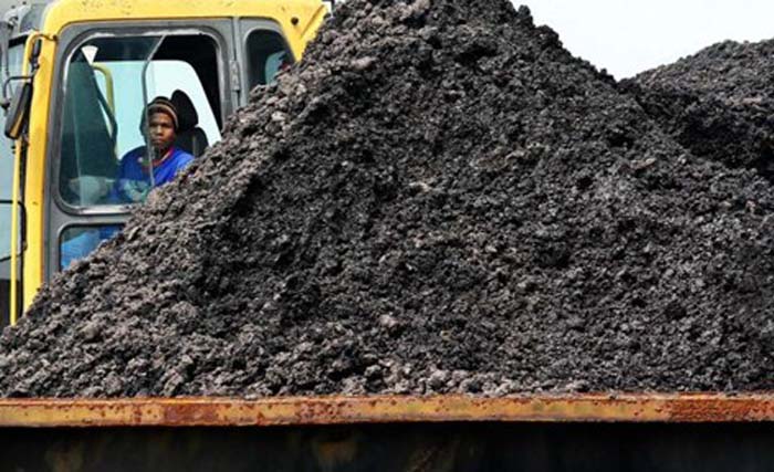 Eksplorasi batu bara di Kalimantan. (dokumentasi)