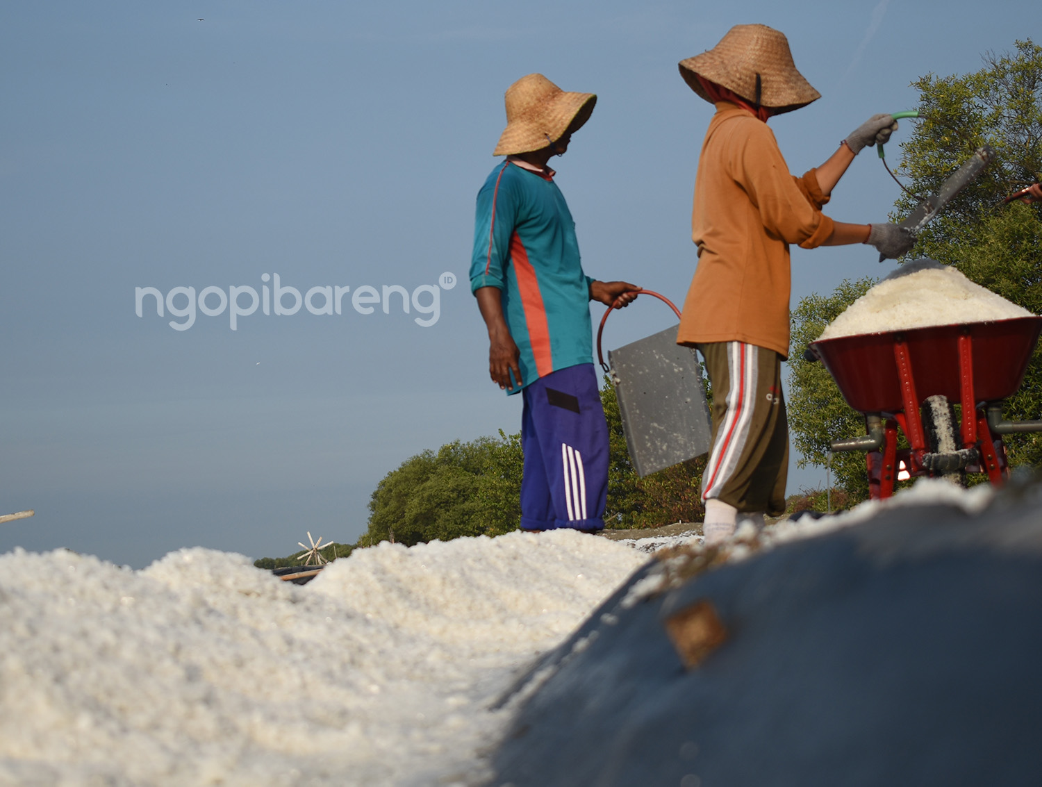 Syafiudin, petani garam di Tambak Cemandi, Sedati, Sidoarjo, yang merasakan kenaikan harga garam mampu meningkatkan kesejahteraan para petani garam. (foto: ngopibareng.id)