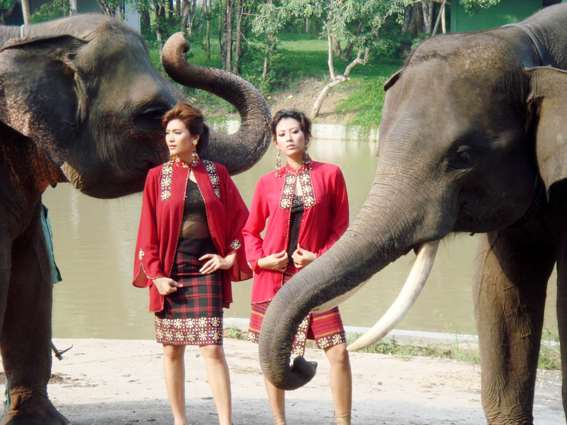 Bergaya bersama gajah. foto : by zahara riri of bandar lampaung 