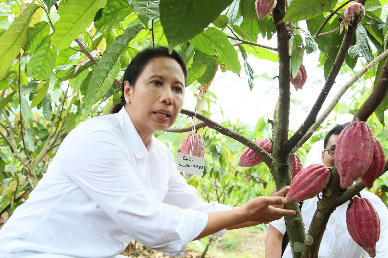 Menteri BUMN Rini Soemarno saat meresmikan Kampung Coklat