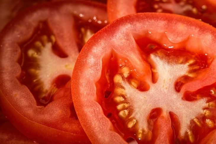 Potongan buah tomat. (Foto: Ilustrasi)