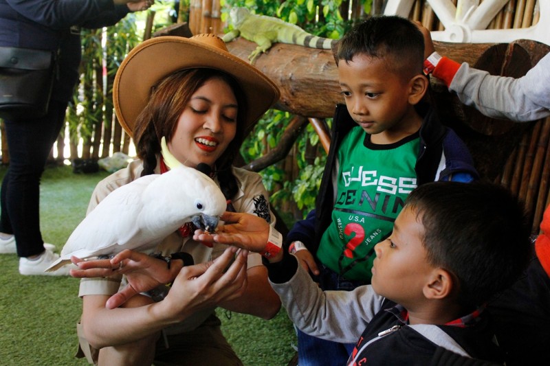 Petugas KBS saat memberikan edukasi kepada pengunjung tentang burung. (foto: ngopibareng)