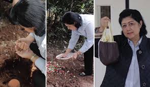Ani Yudhoyono ketika mengubur ari-ari cucu keempatnya. (foto : kolase)
