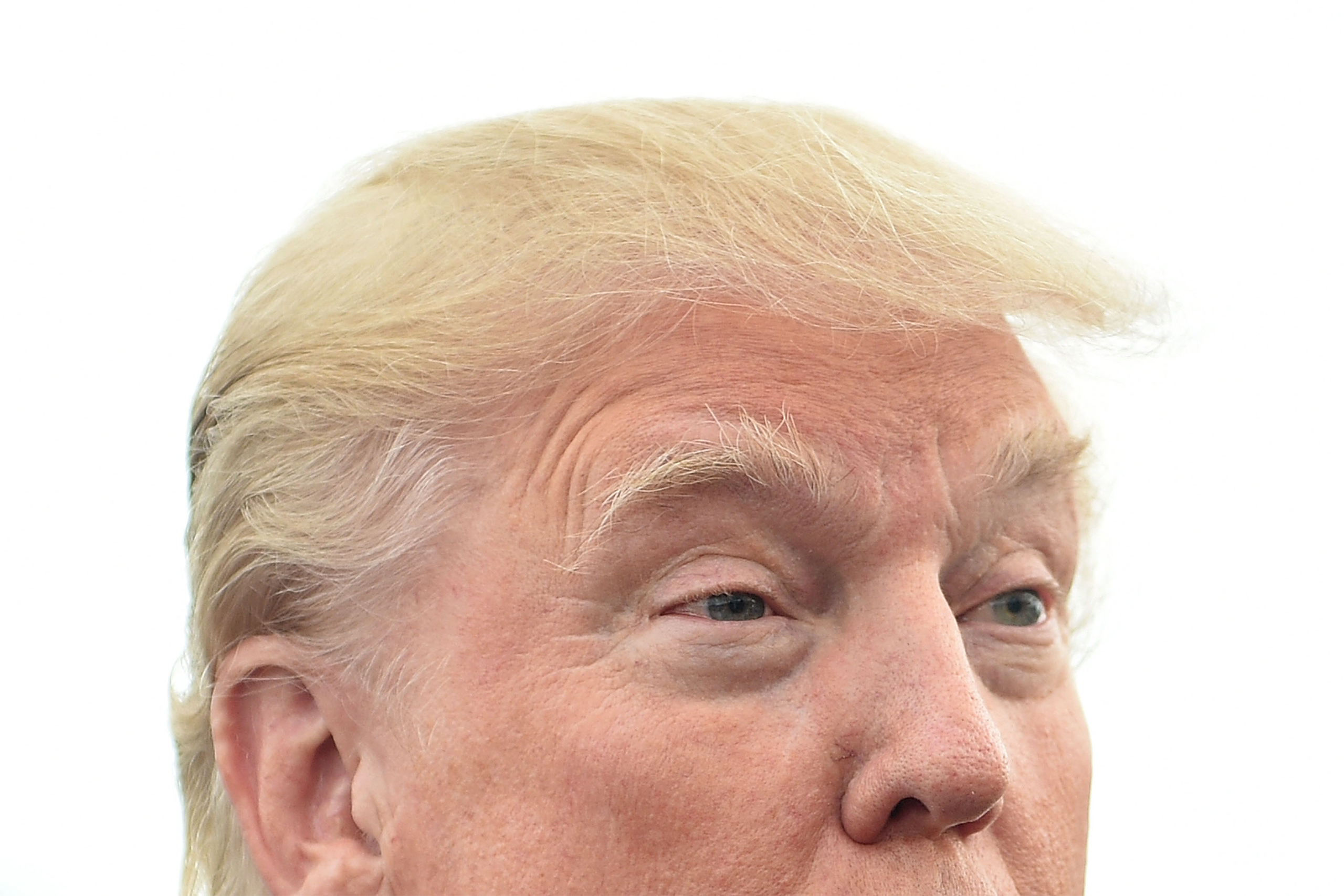 Gaya rambut Trump. (Foto: thedailybeat)