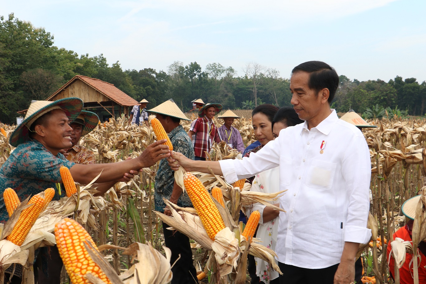 Presiden Jokowi saat bertemu petani di Desa Ngimbang, Kecamatan Palang, Kabupaten Tuban, Jumat, 9 Maret 2018.