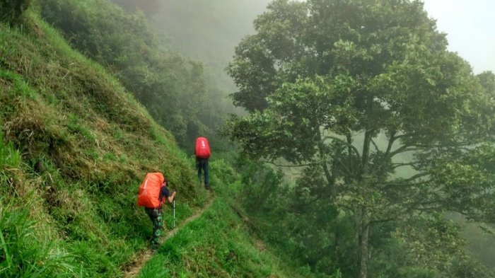 Proses pendakian Gunung Lawu. (Foto: Tribun)