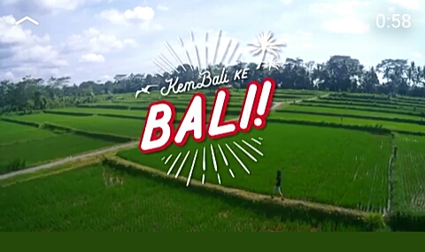 Hijau padi di Bali membuat hati tak betah untuk ke mbali... foto:airasia