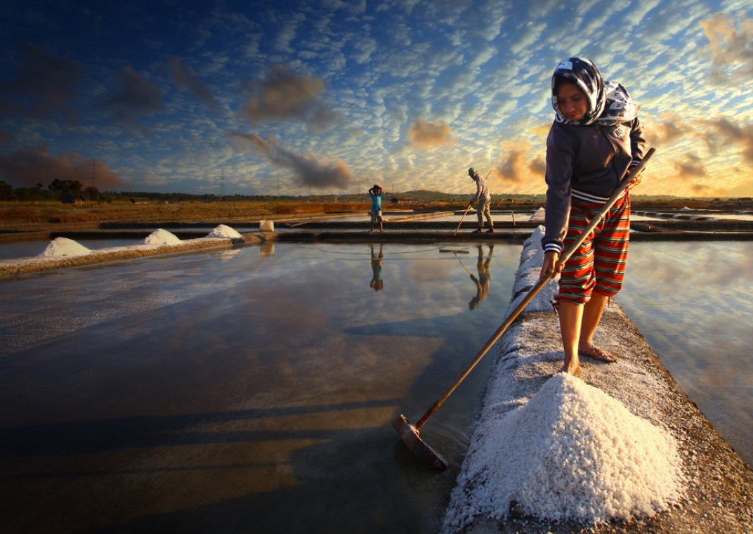 Ilustrasi petani garam sedang memanen garam. (Foto: Istimewa)