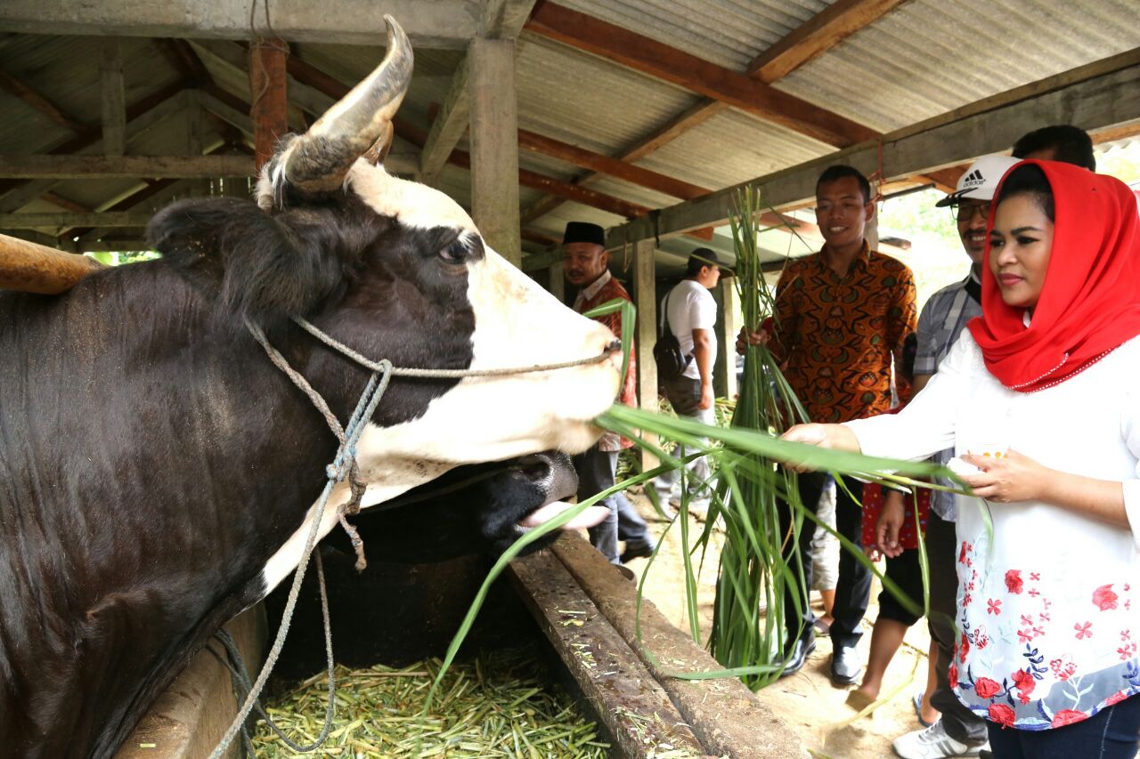 Puti Guntur Soekarno mengunjungi kawasan Gunung Wilis, Kecamatan Sendang, Tulungagung. Kamis, 19 April 2018. (Foto: Ist)
