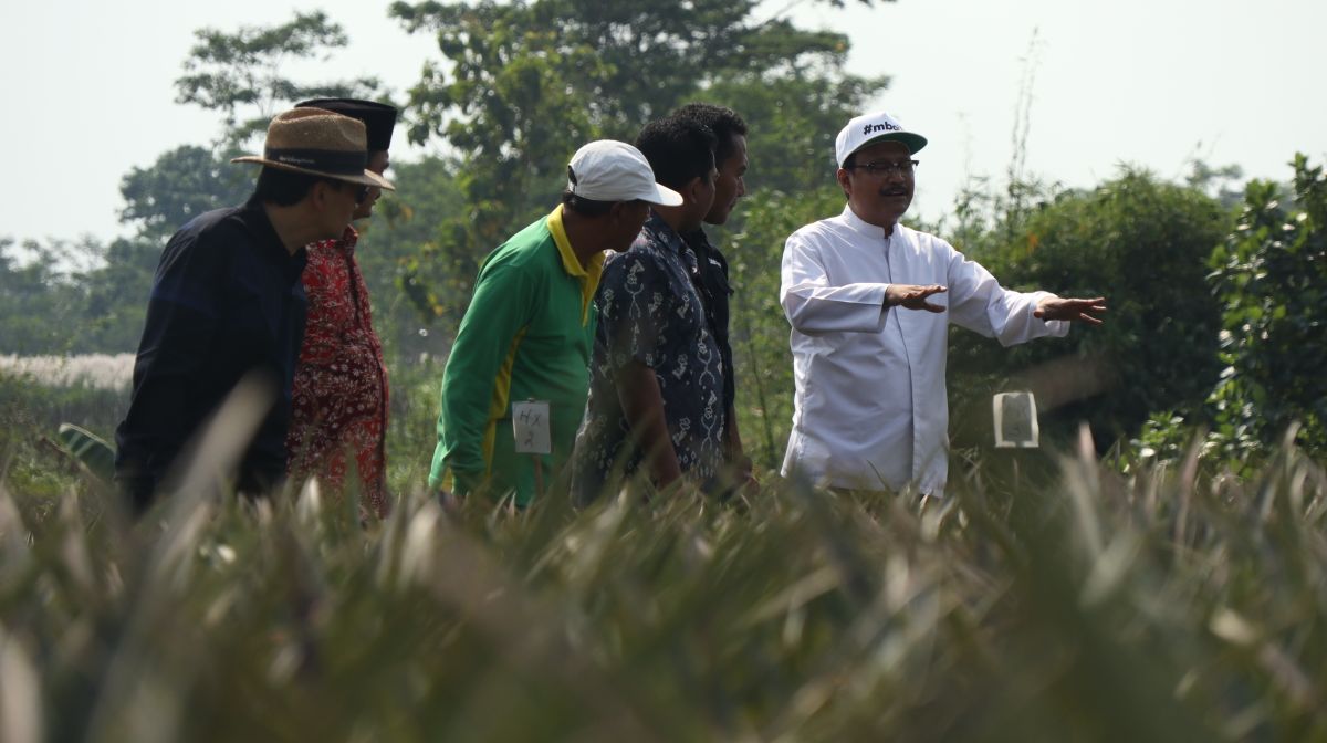 Gus Ipul menyapa dan berdialog langsung dengan para petani nanas Di Desa Manggis, Kecamatan Mancar, Kediri, Senin 30 April 2018. (Foto: frd/ngopibareng.id)