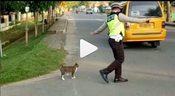 Tangkapan layar seorang polisi lalu lintas menyeberangkan seekor kucing. (Foto: Instagram)