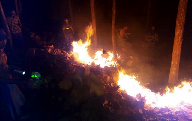 Api membakar hutan seluas 2 hektar lahan Perhutani BKPH Ponorogo Barat tepatnya di petak 30B RPH Krebet, Kecamatan Jambon, Ponorogo, Jatim, Selasa, 19 Juni 2018. (Foto: Istimewa)