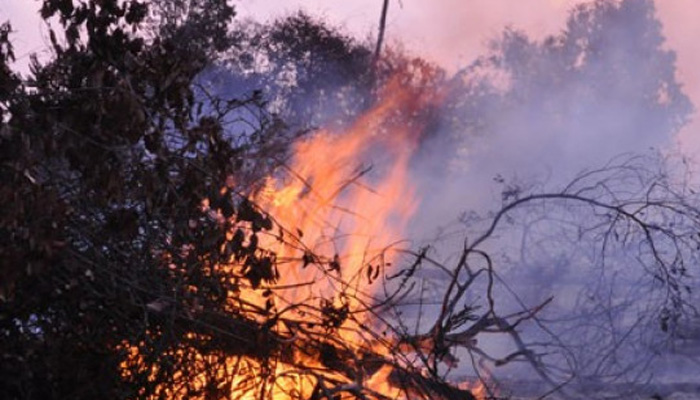 Api masih menyala ketika terjadi kebakaran hutan dan lahan di sekitar areal perkebunan kelapa sawit, Sampit, Kab. Kotawaringin Timur (Kotim), Kalteng. (Foto: Antara)