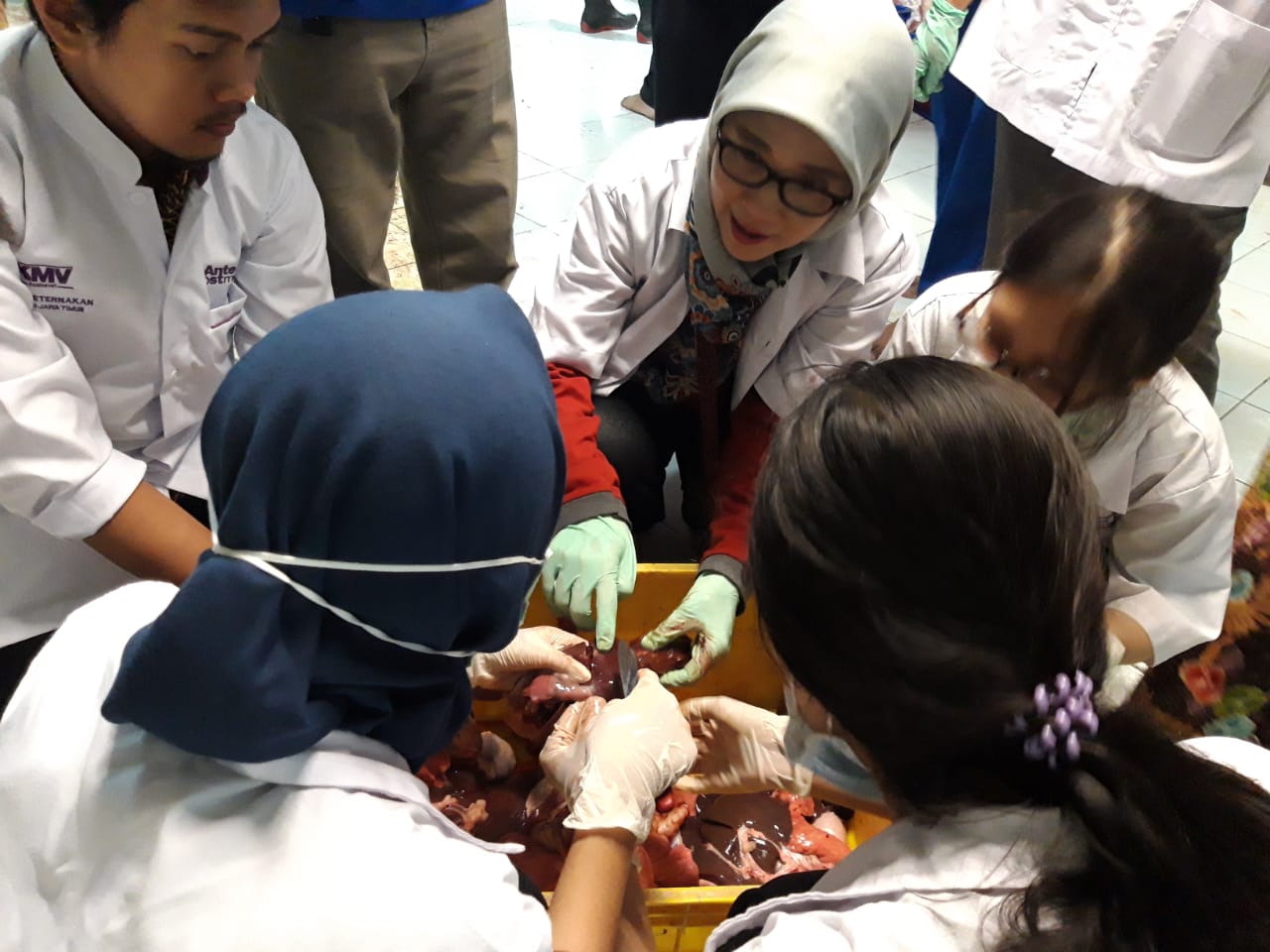 Tim Disnak Jatim melakukan pengangkatan cacing hati pada organ sapi, di Masjid Al-Akbar Surabaya, Kamis, 23 Agustus 2018. (foto: farid/ngopibareng.id) 