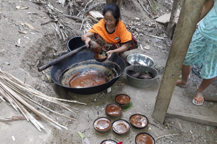 Keluarga Jumain di Dusun Pelolat, Lombok Barat, Nusa Tenggara Barat, yang juga terdampak gempa pada Sabtu (25/08/2018), tetap memproduksi gula aren demi menyambung hidup. (Foto: Antara/Riza Fahriza)