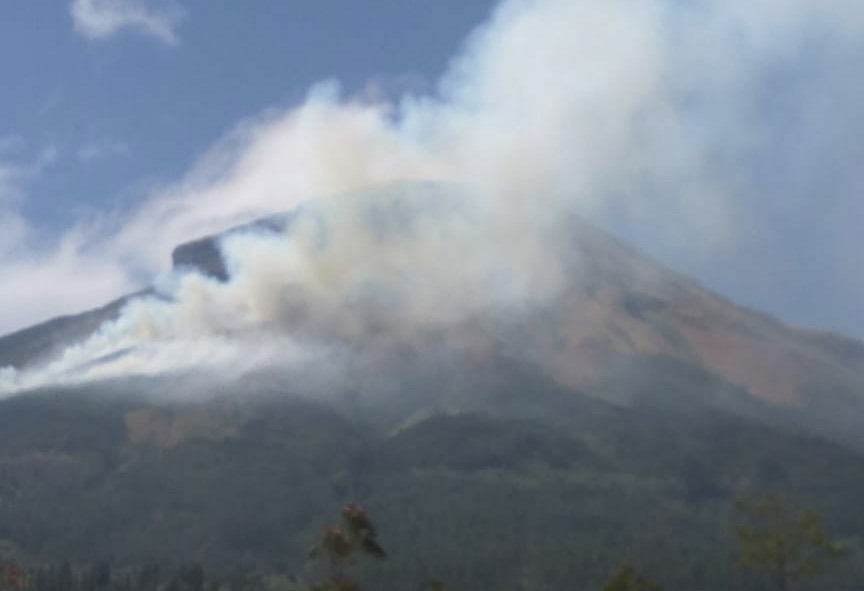 Kebakaran Hutan Gunung Sinduro. Foto : BNPB