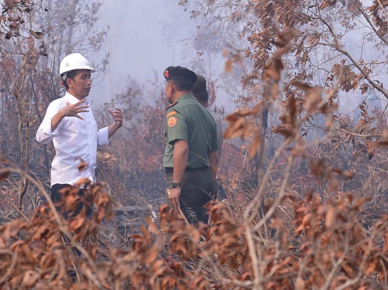 Jokowi melakukan sidak ke lokasi kebakaran hutan. (Foto: Dokumentasi Istana)