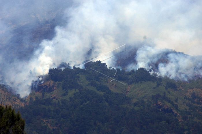 Asap mengepung hutan-hutan Gunung Sumbing, sangat membahayakan pendakian. foto:antara