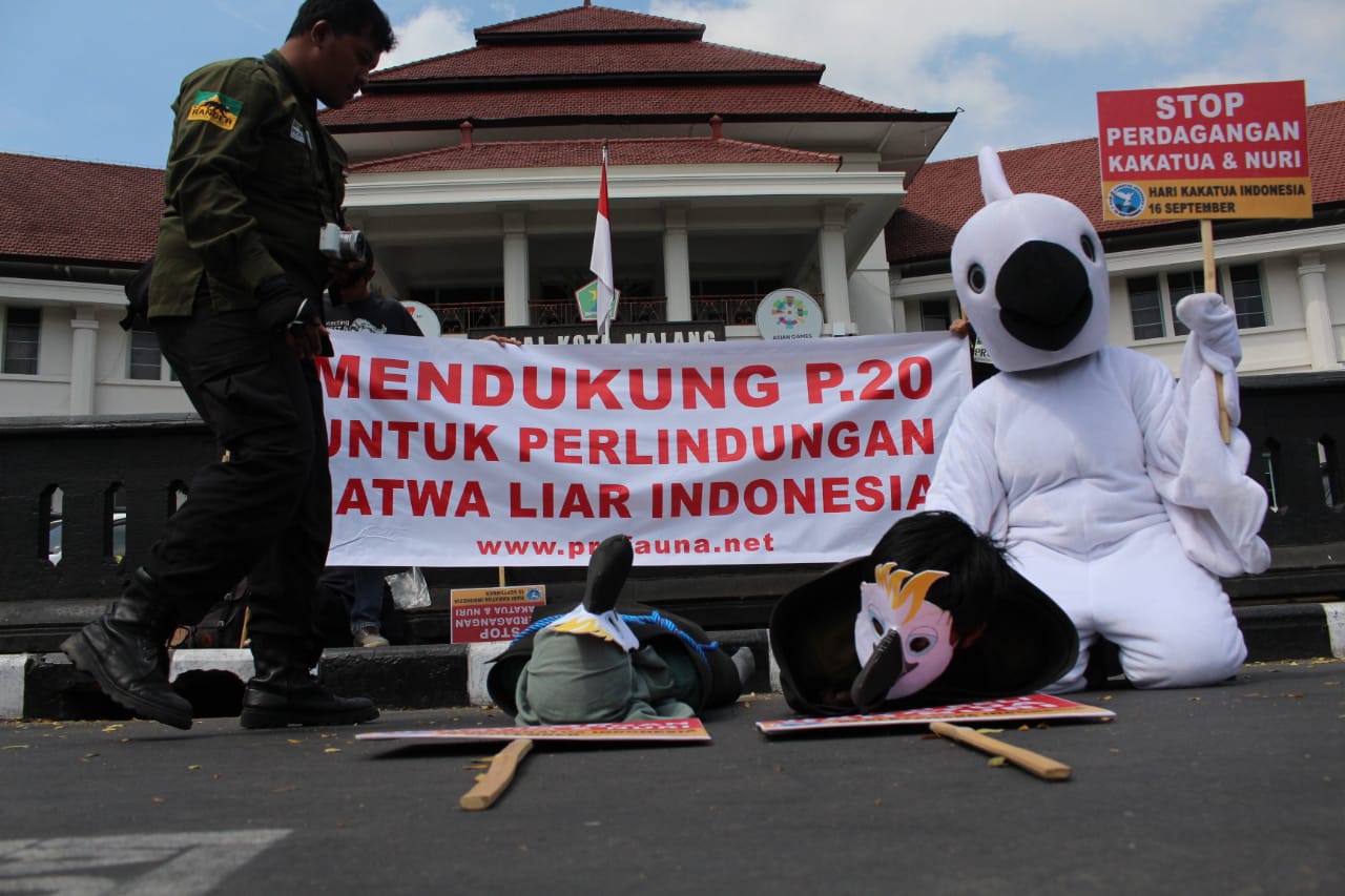 Aksi kampanye untuk memperingati Hari Kakatua Indonesia (HKI) di depan Balai Kota Malang, Jawa Timur, Jumat 14 September 2018. (Foto: Umar.ngopibareng.id)