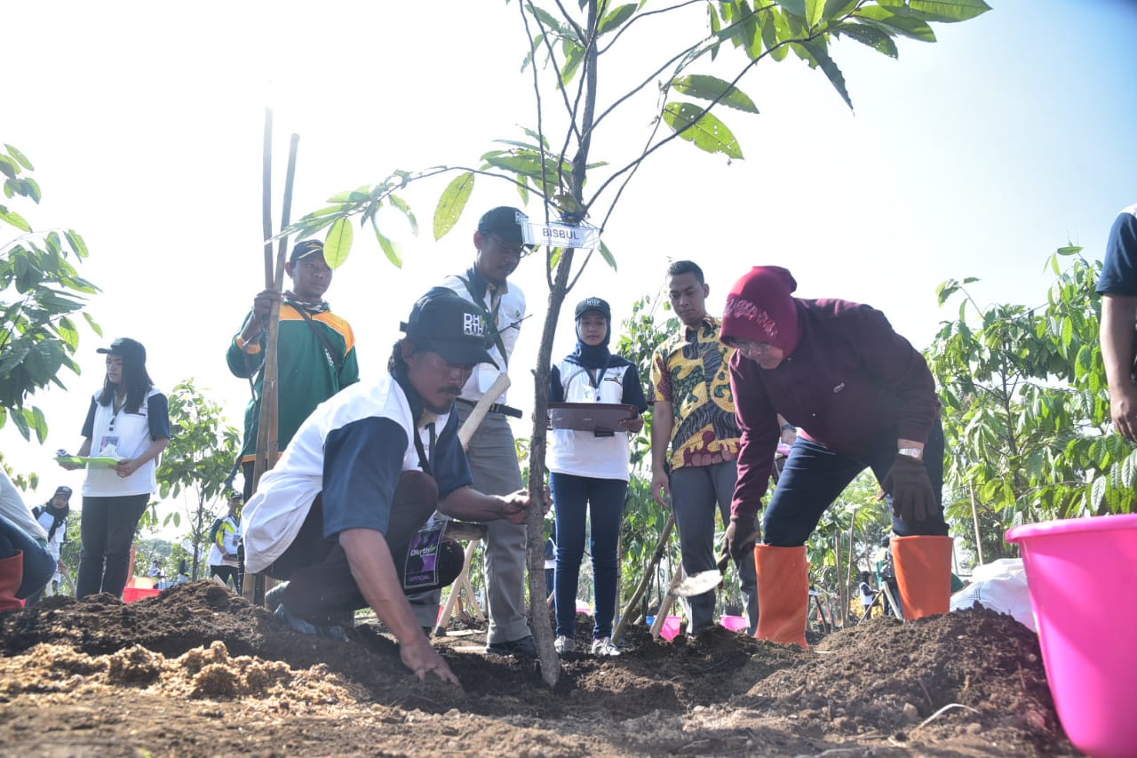 Wali Kota Surabaya Tri Rismaharini bersama Delegasi UCLG Aspac saat menanam pohon di eks TPA Keputih, Sabtu, 15 September 2018. (foto: farid /ngopibareng.id) 
