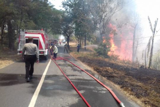 Petugas berusaha memadamkan kobaran api di hutan kayu putih Ponorogo. Foto: istimewa 