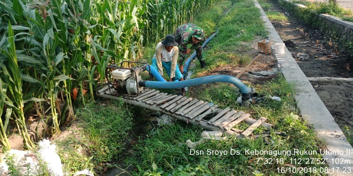 Babinsa Koramil 0815/04 Puri Serka Rizal Bastian melaksanakan pendampingan pengairan lahan tanaman jagung di Desa Kebon Agung