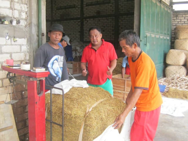 Salah satu petani di desa Kedungpring sedang menimbang tembakau rajang kering yang siap untuk dijual. (Foto: Totok/ngopibareng.id) 