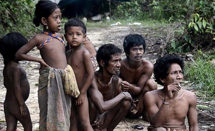 Sebagian masyarakat Suku Anak Dalam di dalam hutan di Kabupaten Batanghari, Jambi. Mereka tidak punya hak pilih pada pemilu mendatang. (Foto: Dok. Antara)