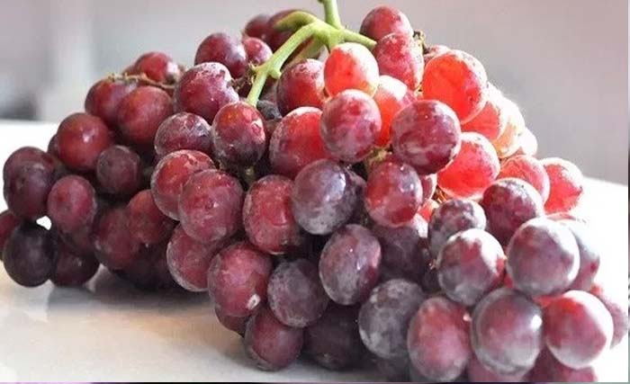 Ilustrasi buah anggur impor. (Foto:Dok.Ngobar)