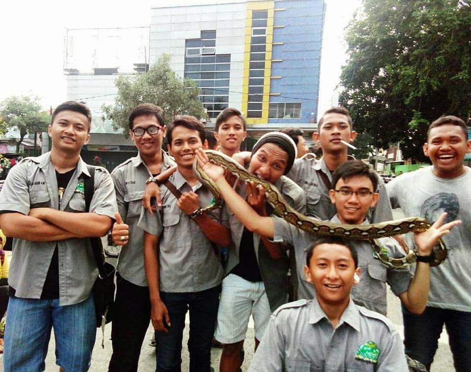 Anggota Komunitas Reptil Lamongan (Kartel) saat berkumpul (Foto: Totok/ngopibareng.id)