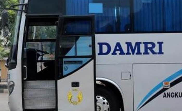 Bus Damri menunggu penumpang. (Foto: Ngopibareng)