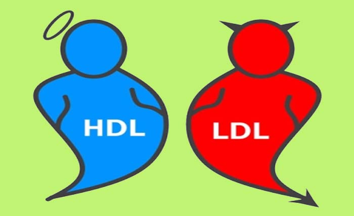 Kolesteroel Jahat (LDL) dan kolesterol baik (HDL). (Dok Ngobar)