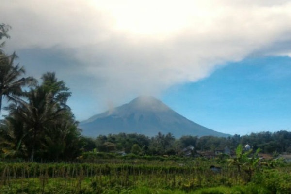Gunung Merapi mengeluarkan asap tipis dan debu erupsi. (Foto: dok/antara)