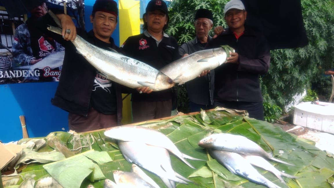 Ikan bandeng seberat 10 kg dipamerkan di Pasar Rawa Belong, Jakarta guna menyambut imlek. (Foto: asmanu/Ngopibareng.id)