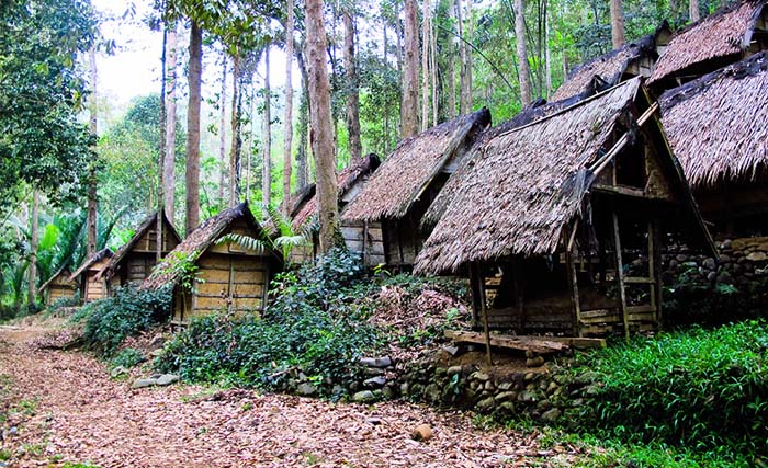 Pemukiman masyarakat adat Baduy di Desa Kanekes, Leuwidamar, Kabupaten Lebak, Banten. (Foto:Antara)