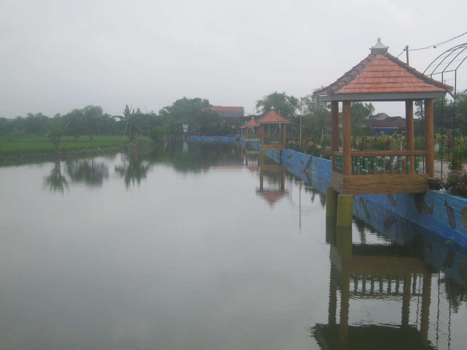 Rawa di Desa Sekaran disulap jadi obyek wisata (Foto :Totok/ngopibareng.id)