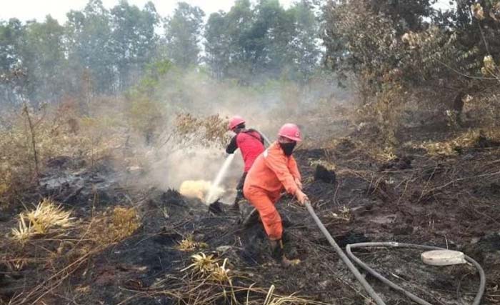 Petugas pemadam kebakaran sedang memadam api yang membakar hutan di Provinsi Riau. (Foto:Antara)