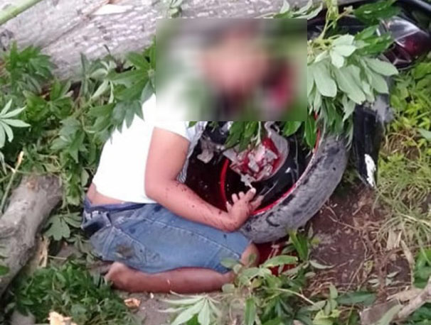 Seorang pengendara sepeda motor tewas tertimpa pohon roboh yang disapu angin puting beliung, Rabu, 6 Maret 2019 di Kecamatan Tongas Probolinggo. (Foto: Ikhsan/ngopibareng.id)