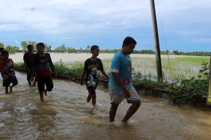 Sejumlah anak-anak berjalan melewati sawah yang terendam air luapan Kali Kening di Desa Guyangan, Kecamatan Trucuk, Bojonegoro, Kamis 7 Maret (Foto: Antara/Slamet Agus Sudarmojo)