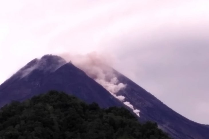 Awan panas meluncur dari puncak Gunung Merapi, Kami, 7 Maret 2019. (Foto: dok/antara)