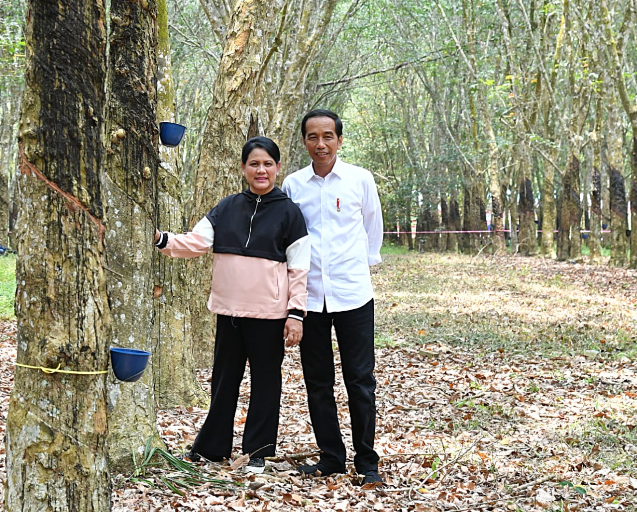 Presiden Joko Widodo bersama Ny Iriana Jokowi di perkebunan karet di di Balai Pusat Penelitian Karet Sembawa, Kecamatan Sembawa, Kabupaten Banyuasin, Sumsel. (Foto: setneg for ngopibareng.id)