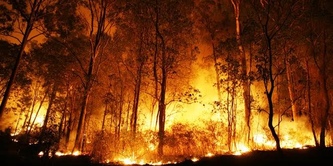 Ilustrasi kebakaran hutan. (Foto: dok/antara)