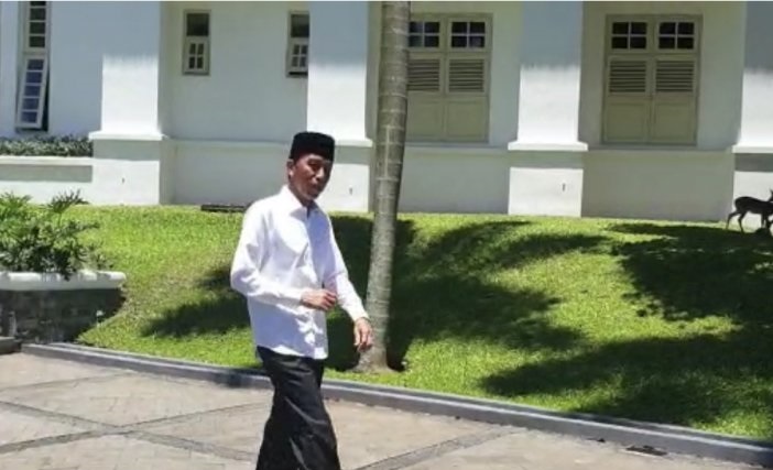 Presiden Joko Widodo saat berada di Istana Bogor. (Foto: Antara)