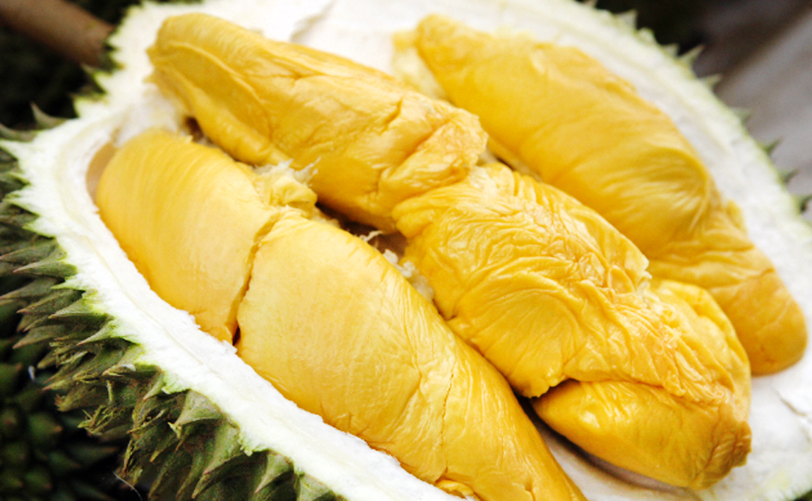 Ilustrasi durian. (Foto: Istimewa)