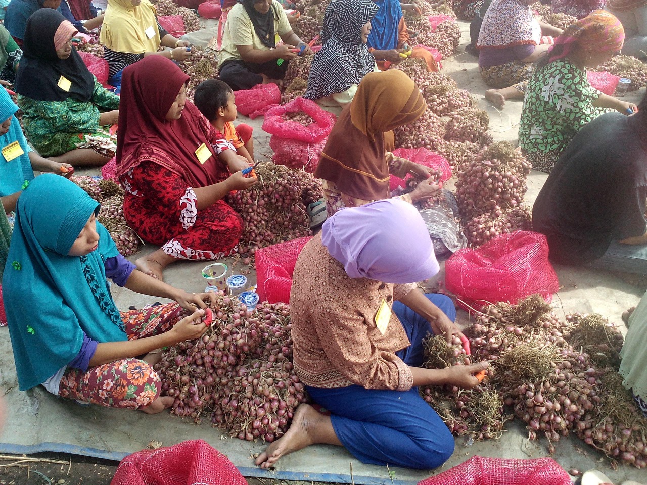 Para buruh protol bawang di Kelurahan Kedungasem, Kecamatan Wonoasih, Kota Probolinggo. (Foto: Ikhsan/ngopibareng.id)
