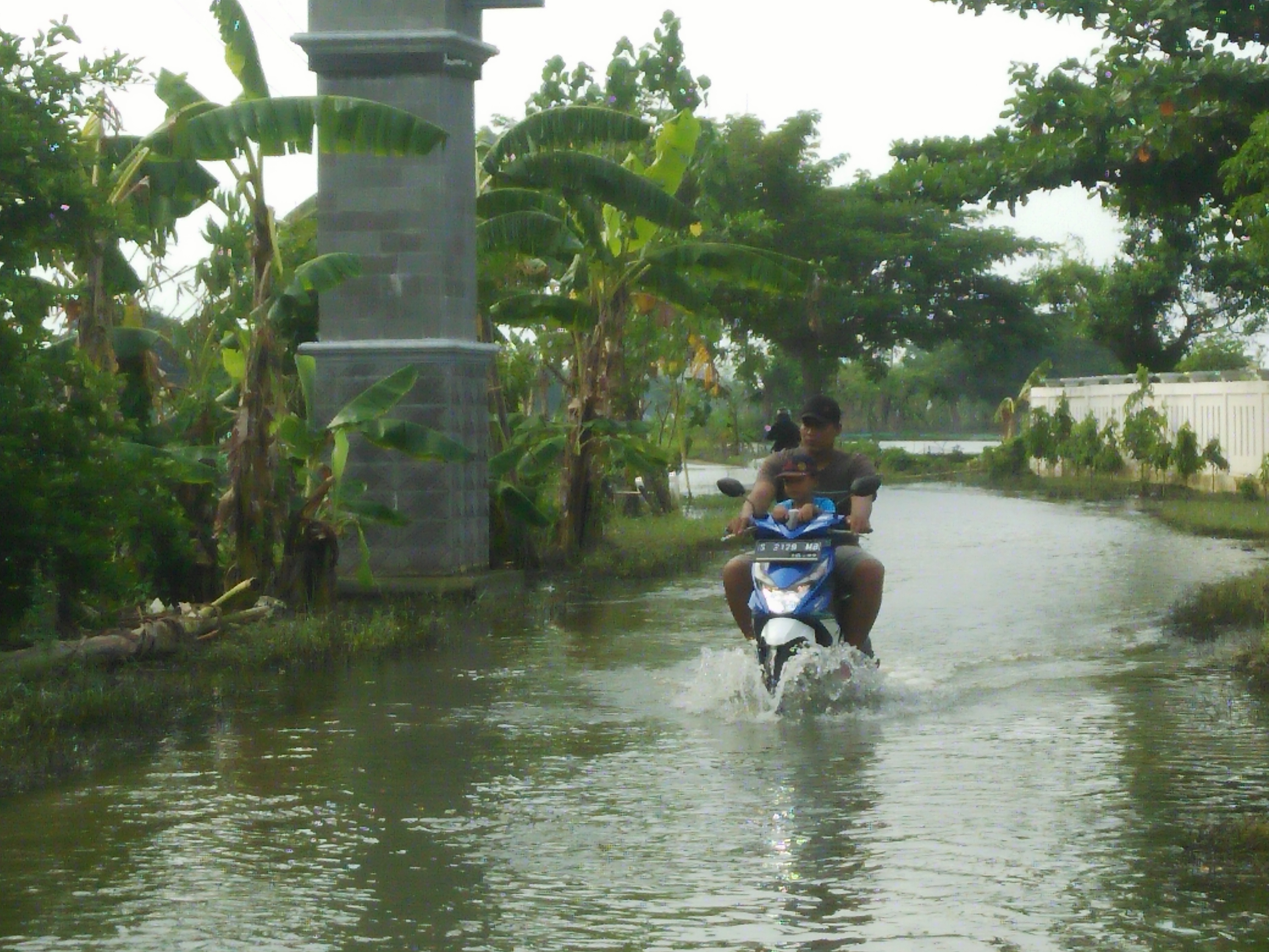 Banjir di wilayah Tiwet, Kabupaten Lamongan. (Foto: Riski/ngopibareng.id)