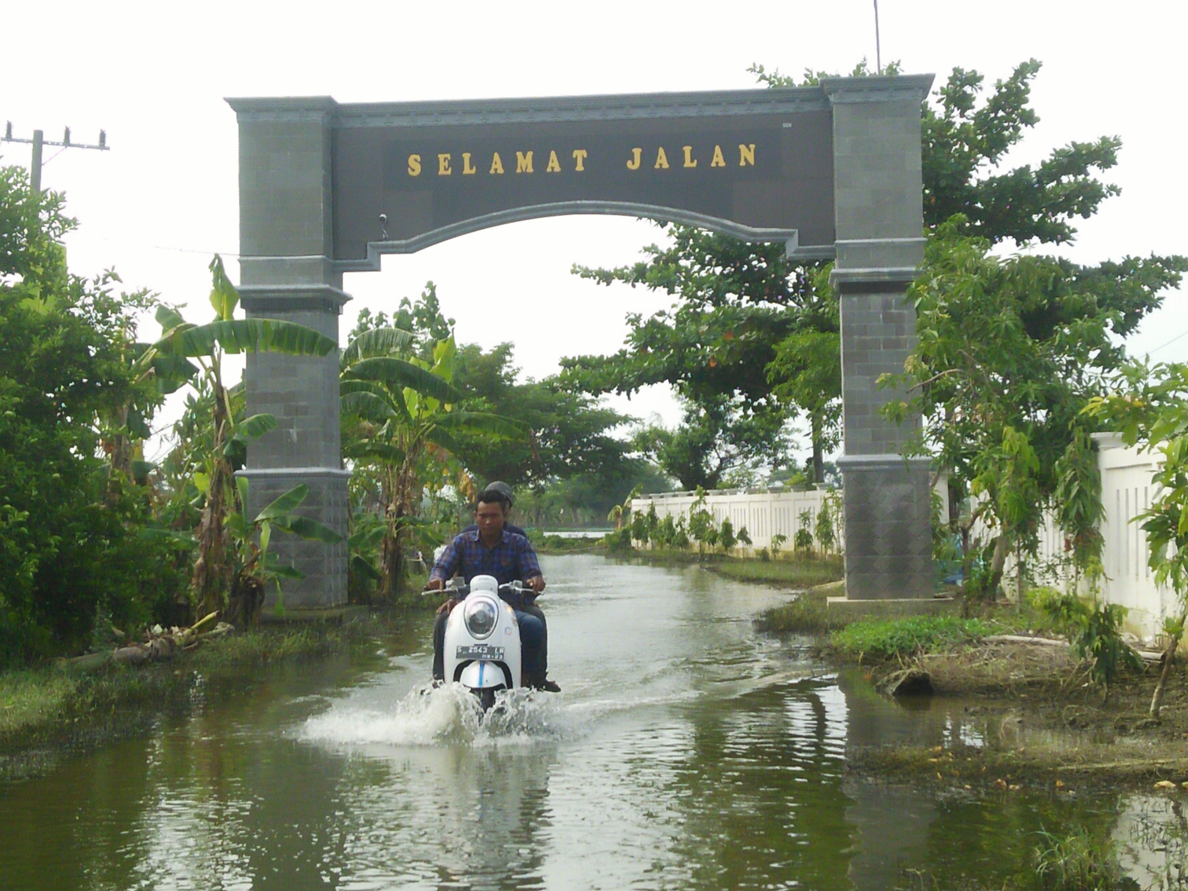 Banjir di Desa Tiwet, Kecamatan Kalitengah, Kabupaten Lamongan. (Foto: Kiki/ngopibareng.id)