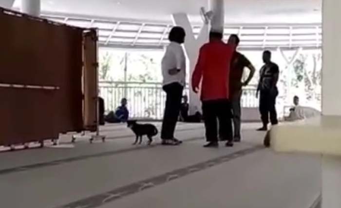 Sambil marah dan bawa anjing, wanita ini  masuk masjid Al Munawwarah, Bogor, kok bawa anjing. (Foto:istimewa)