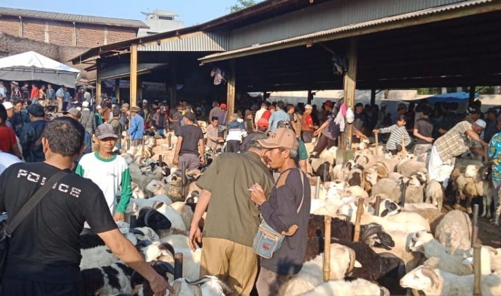 Ilustrasi - Petugas dari Disnakanlut Cianjur, Jawa Barat, mulai melakukan pemeriksaan terhadap hewan ternak yang dijual sebagai hewan kurban di Pasar Hewan Cianjur, sebagai upaya antisipasi terjangkitnya hewan kurban dari penyakit menular. (Foto: Antara/Ahmad Fikri)