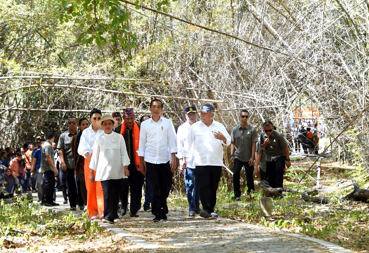 Presiden Jokowi mengunjungi Taman Nasional (TN) Komodo di NTT, Kamis, 11 Juli 2019. (Foto: Biro Pers Setpres)
